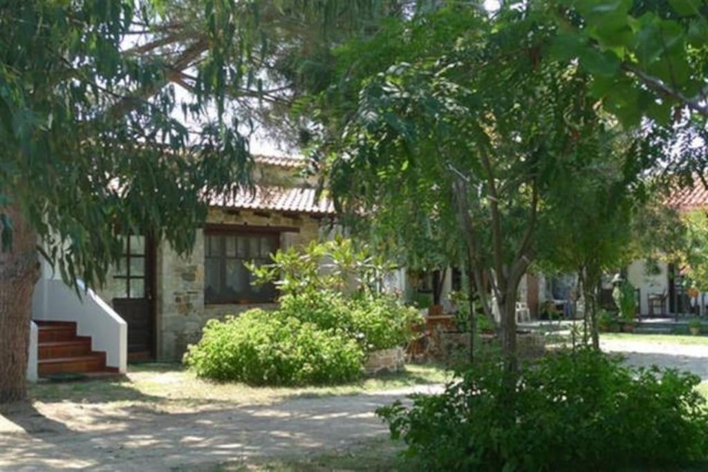 Traditionelles Appartement Athos Shadow Am Meer Paralia Sikias Exterior foto